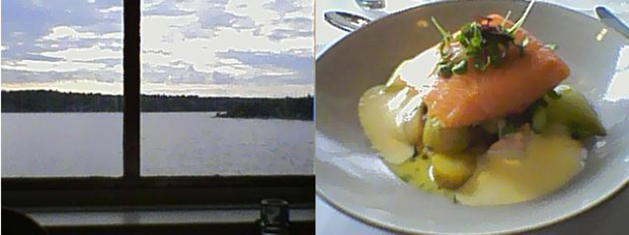 Une vue magnifique qui défile pour nos yeux et Saumon-Purée N°2 pour nos nez et nos bouches